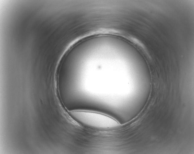 X0000066491280200603170914