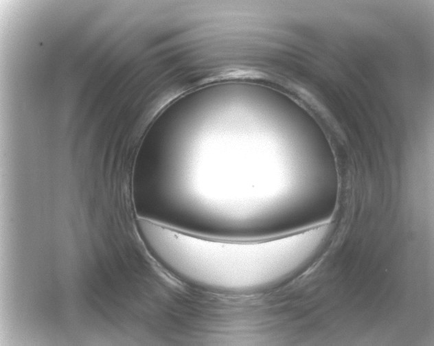 X0000066491281200603170914