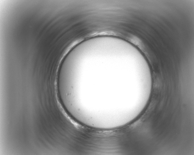 X0000066491282200603170914