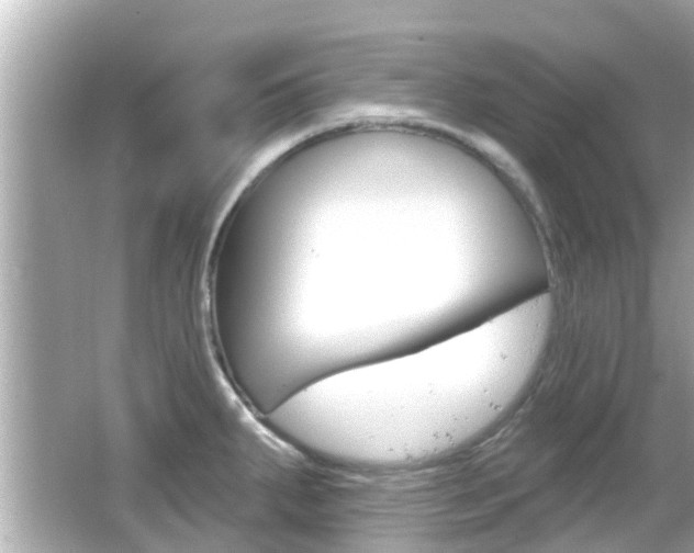 X0000066491287200603170914
