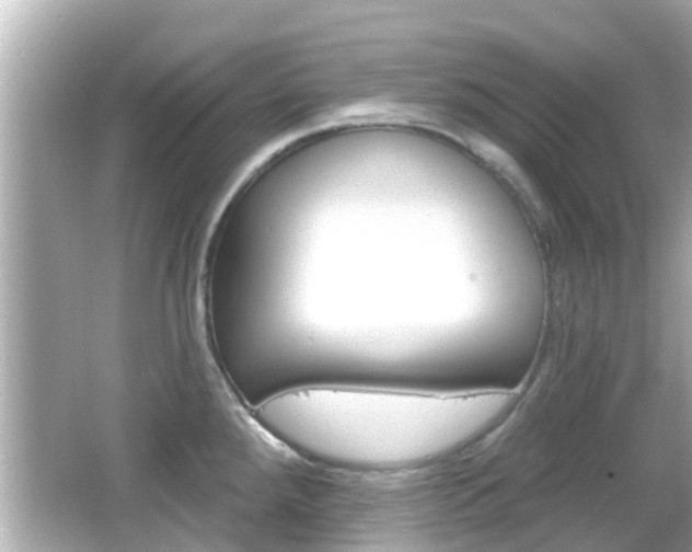 X0000066491288200603170914