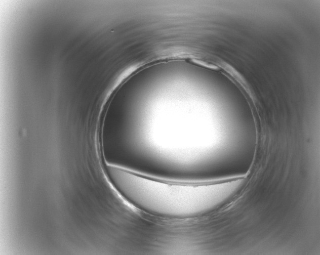 X0000066491293200603170914