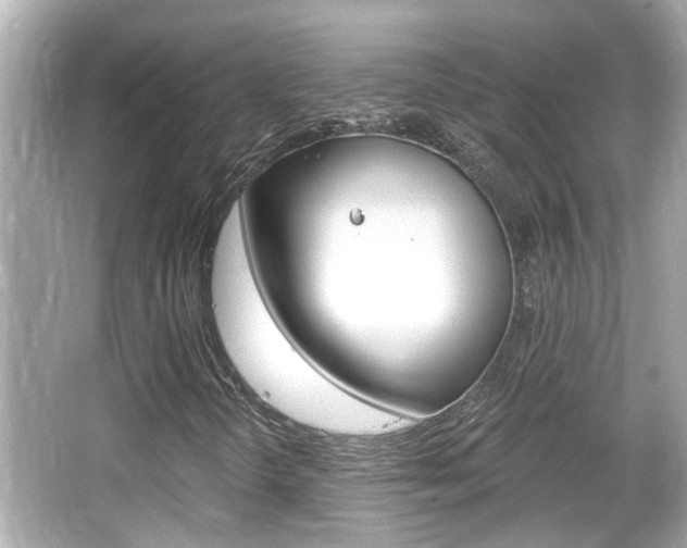 X0000066491298200603170913