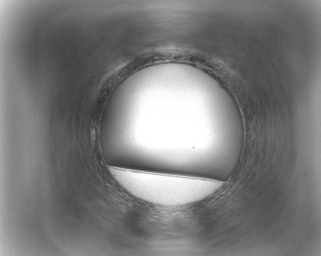 X0000066491302200603170913