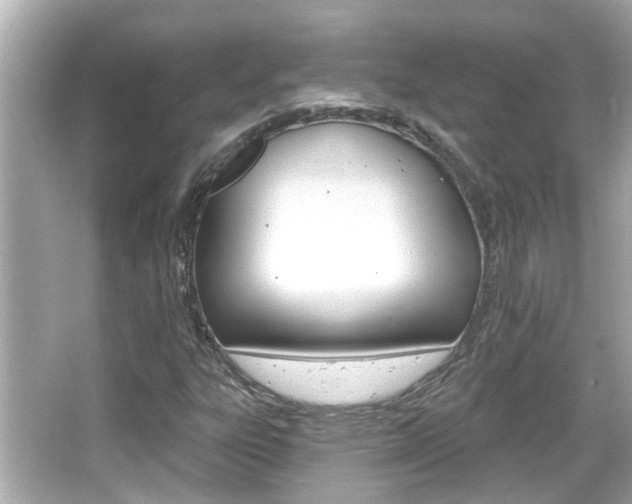 X0000066491303200603170913