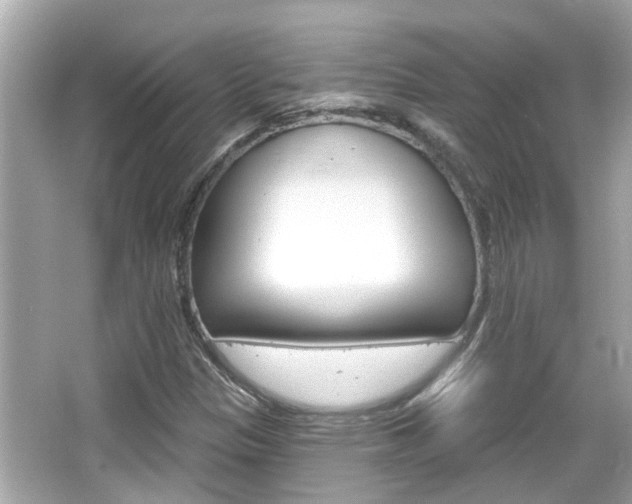 X0000066491305200603170913