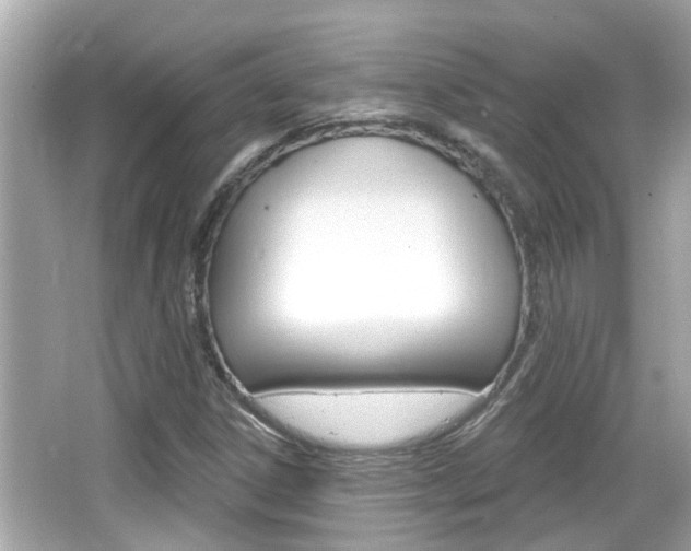 X0000066491306200603170913