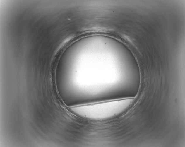 X0000066491307200603170913