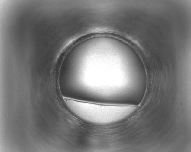 X0000066491311200603170913