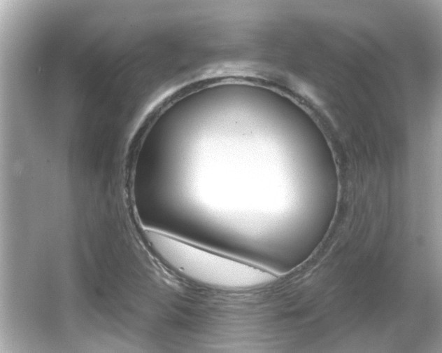 X0000066491312200603170914