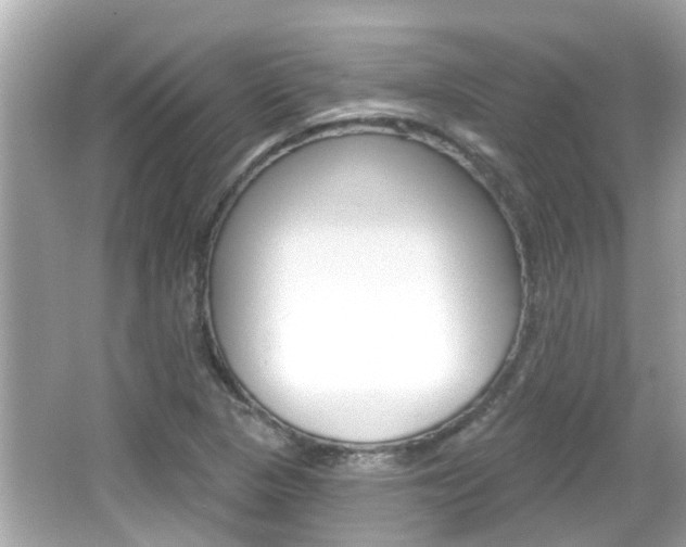 X0000066491313200603170914