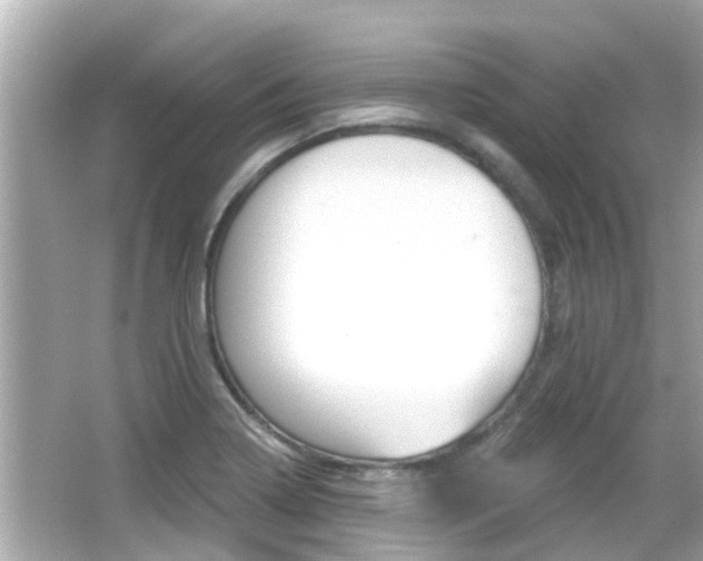X0000066491322200603170914