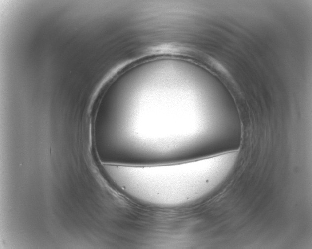 X0000066491323200603170914
