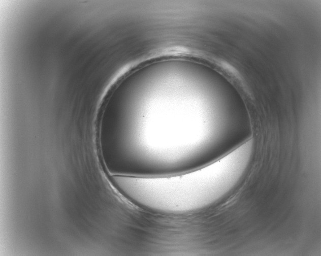 X0000066491326200603170914