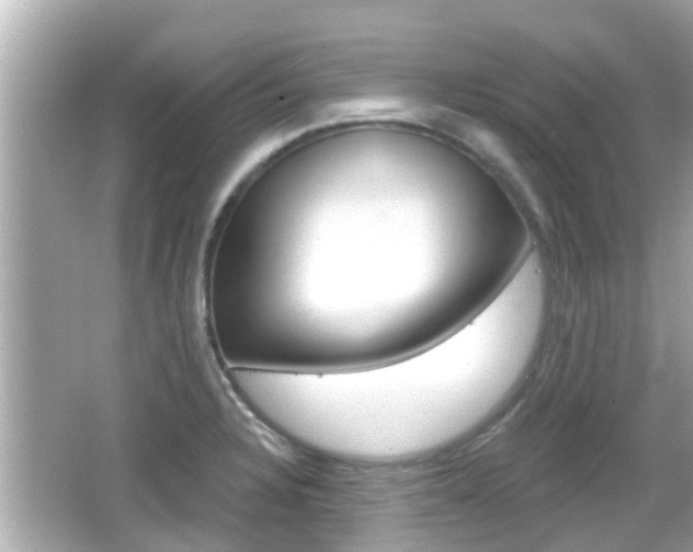 X0000066491328200603170914