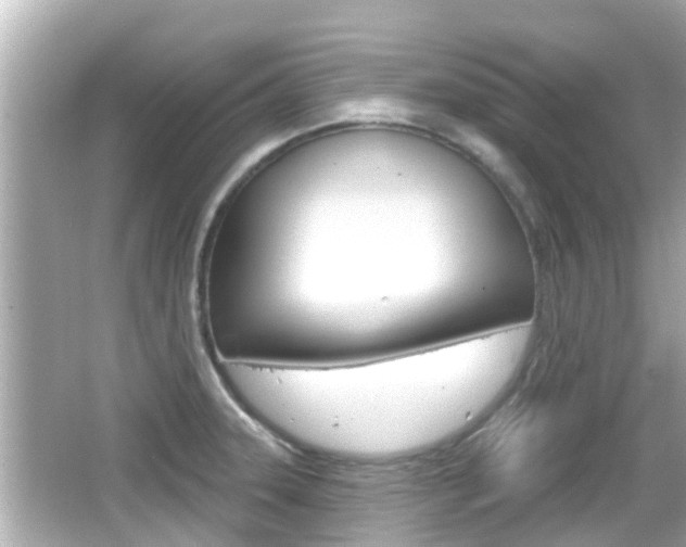 X0000066491331200603170914