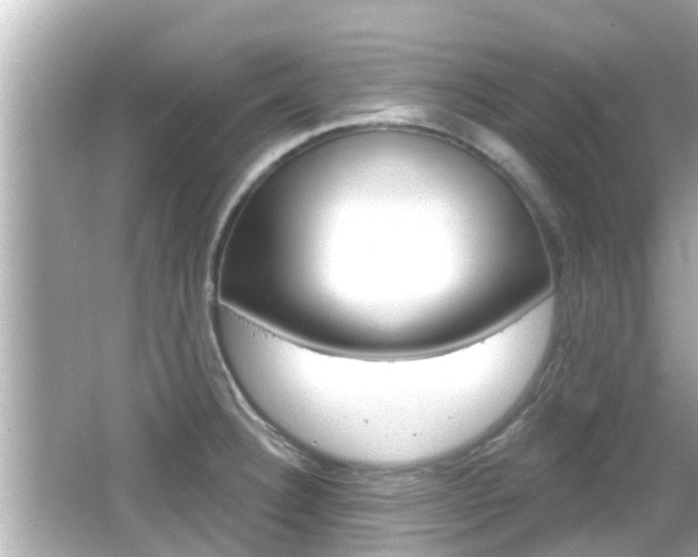 X0000066491332200603170914