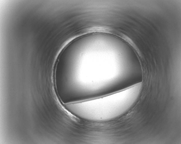 X0000066491339200603170914