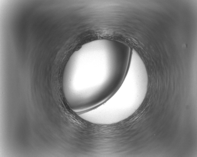 X0000066491345200603170913