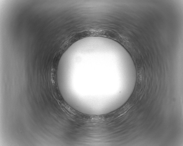 X0000066491346200603170913