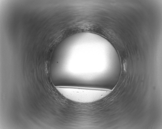 X0000066491347200603170913