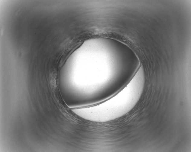 X0000066491348200603170913