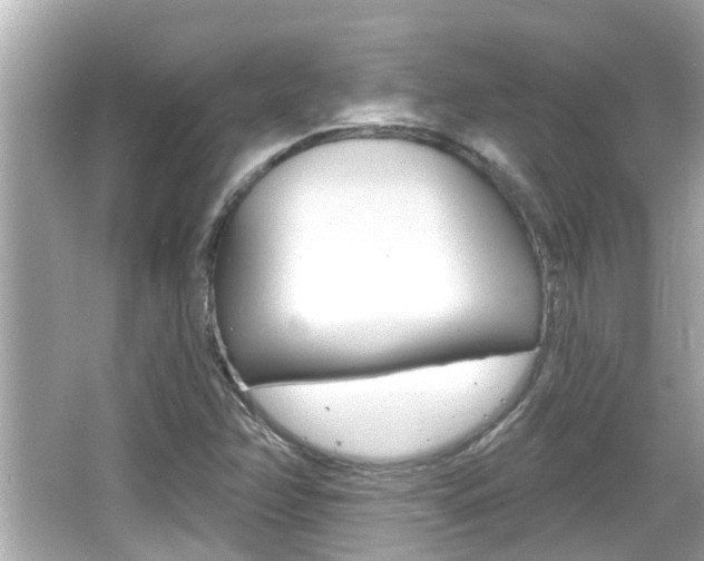 X0000066491358200603170913