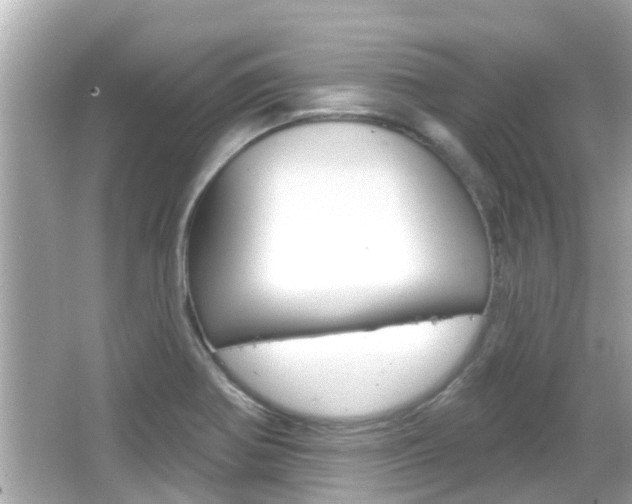 X0000066491370200603170913