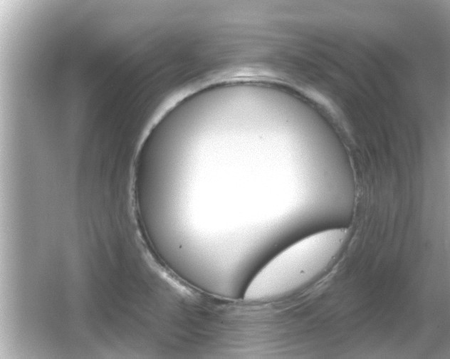 X0000066491374200603170913