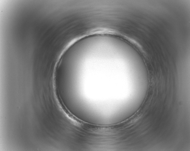X0000066491375200603170913