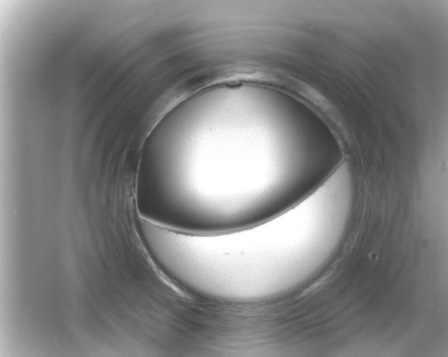 X0000066491377200603170913