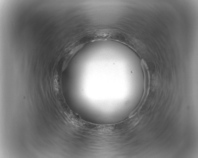 X0000066491394200603170912