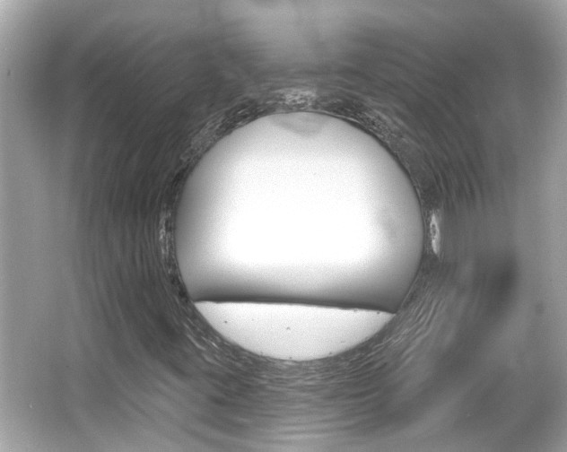 X0000066491395200603170912
