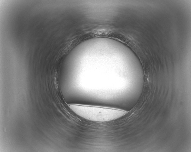 X0000066491396200603170912