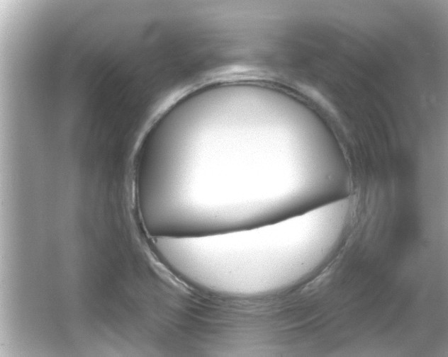 X0000066491413200603170912