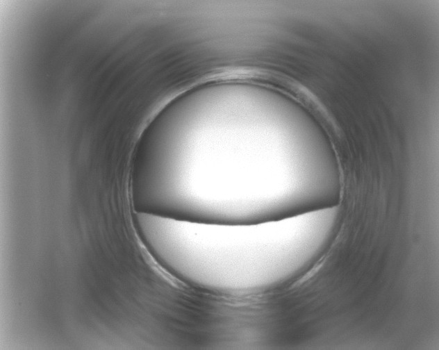 X0000066491417200603170912
