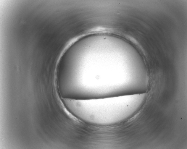 X0000066491421200603170912