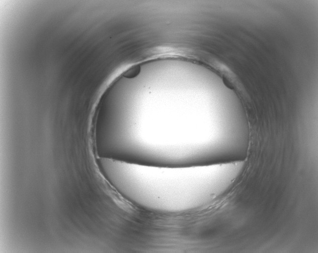 X0000066491427200603170912