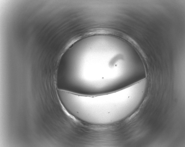 X0000066491433200603170912