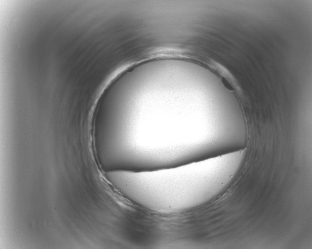 X0000066491435200603170912