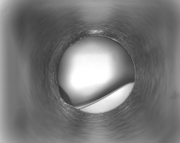 X0000066491441200603170912