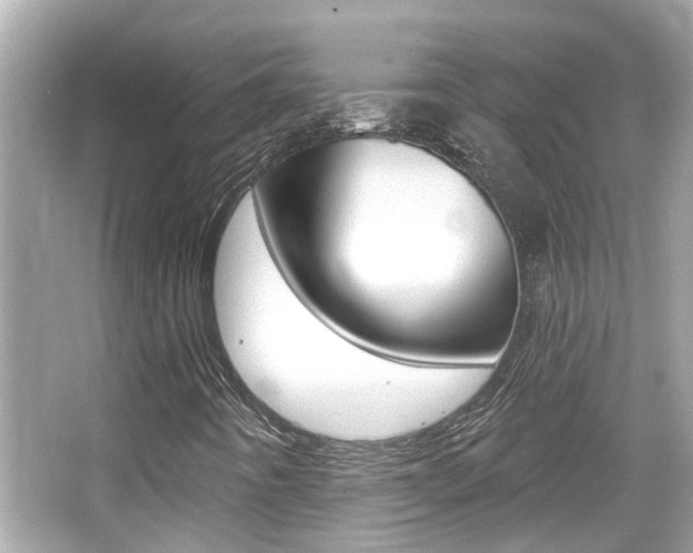 X0000066491442200603170912