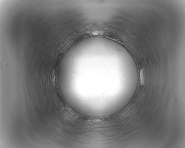 X0000066491443200603170912