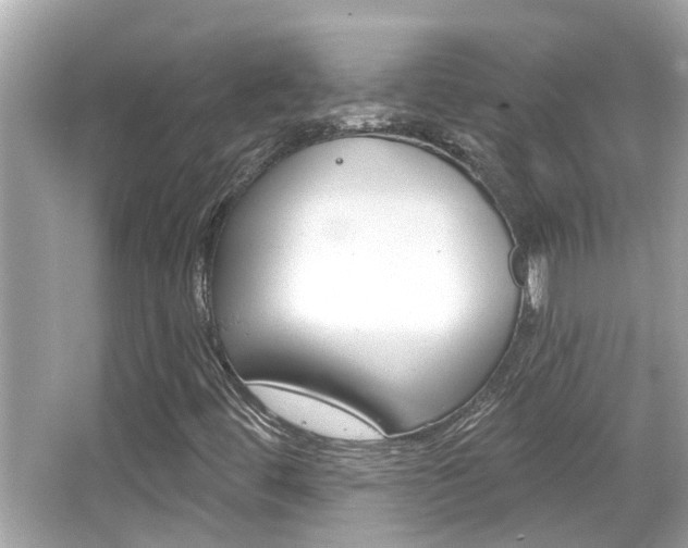 X0000066491444200603170912