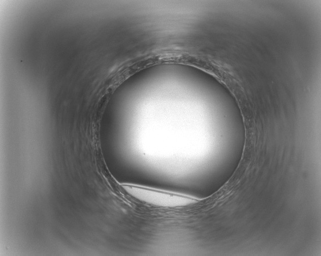 X0000066491445200603170912