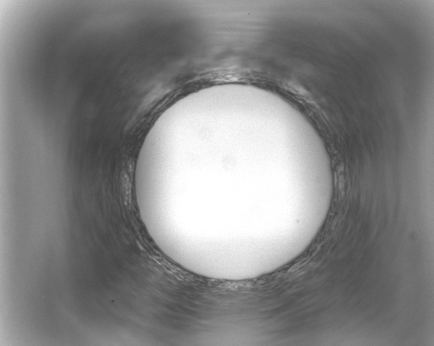 X0000066491446200603170912