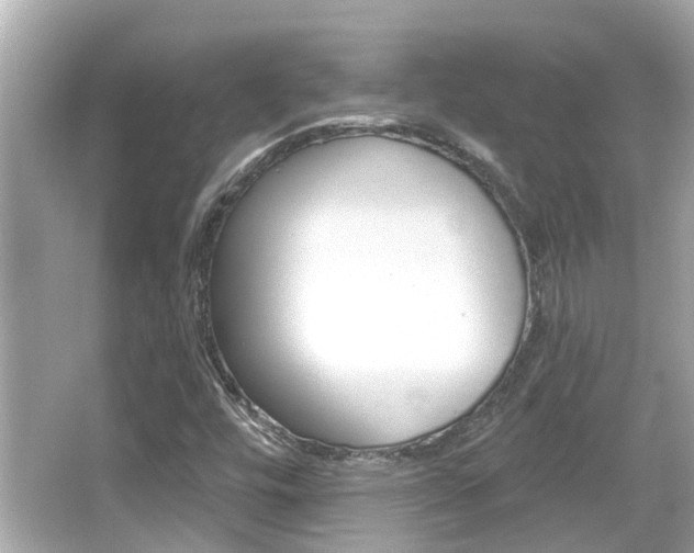 X0000066491448200603170911