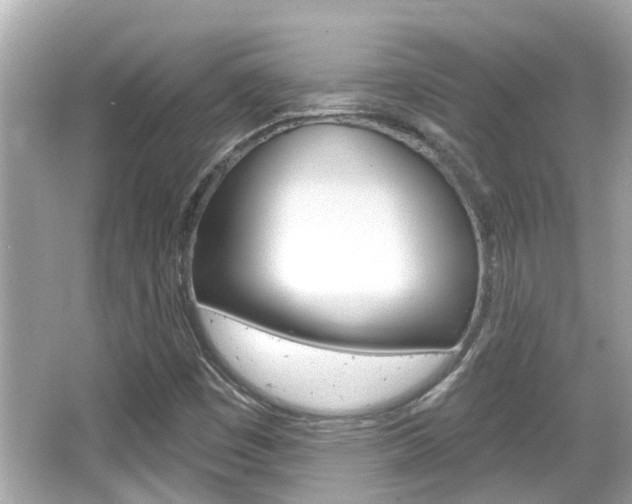 X0000066491449200603170911