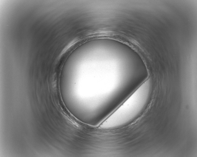 X0000066491450200603170911
