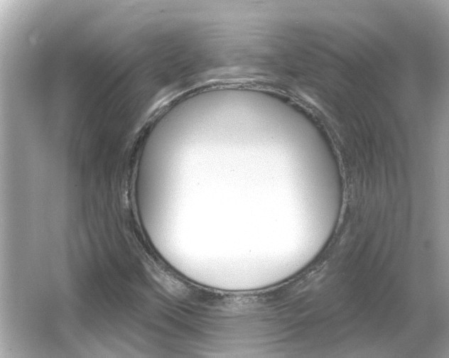 X0000066491451200603170911